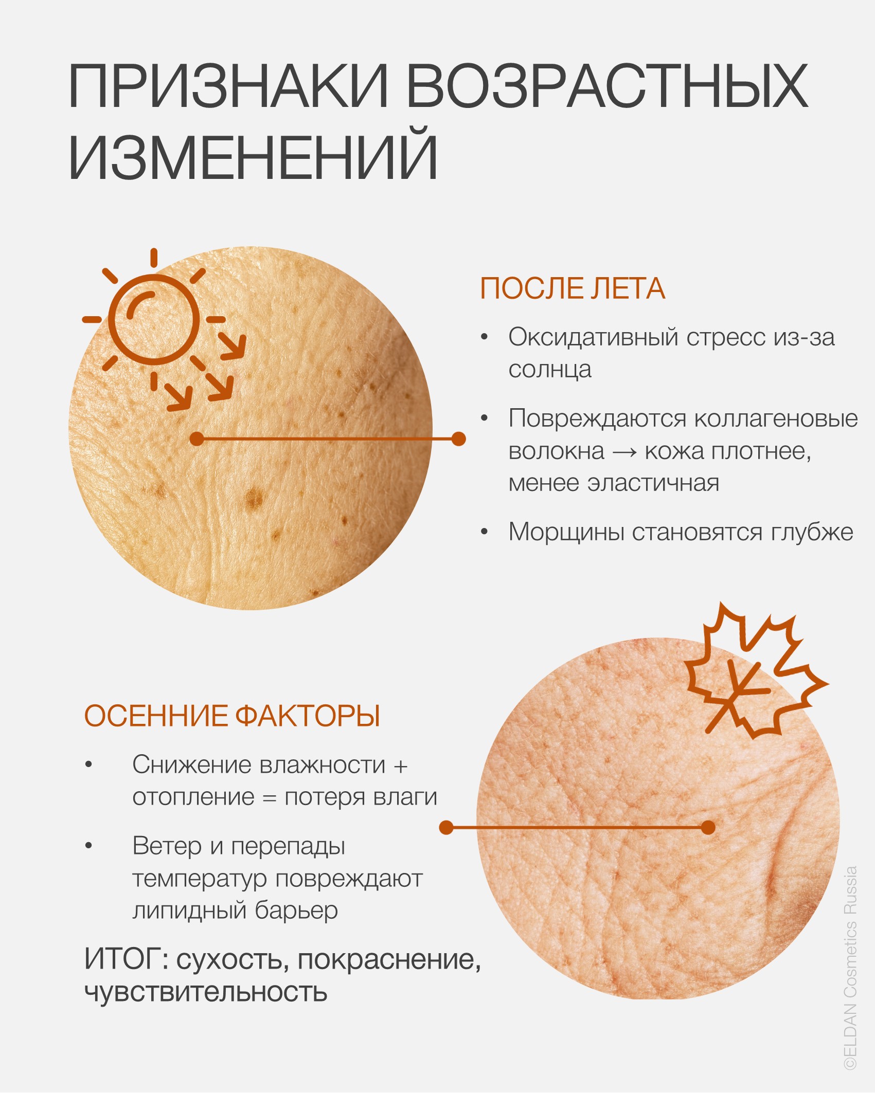 Пост старение осенью 2.jpg